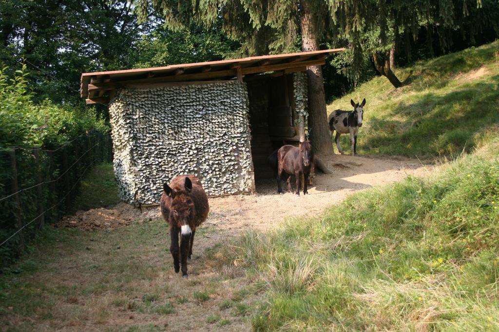B&B La Casa Di Campagna ベルガモ エクステリア 写真