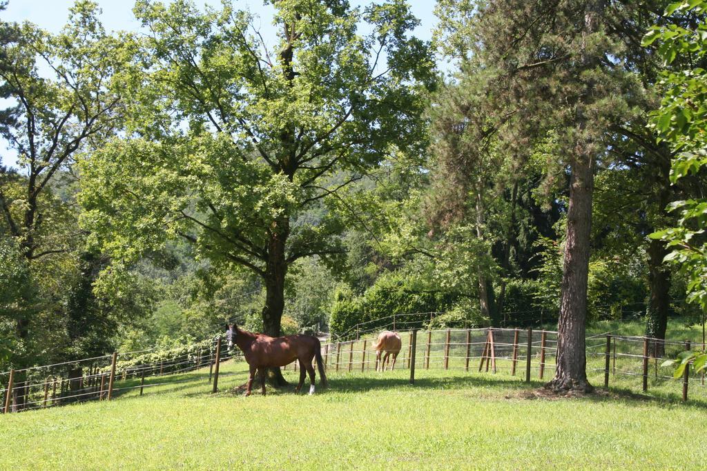 B&B La Casa Di Campagna ベルガモ エクステリア 写真