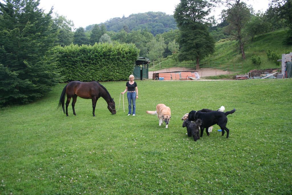 B&B La Casa Di Campagna ベルガモ エクステリア 写真